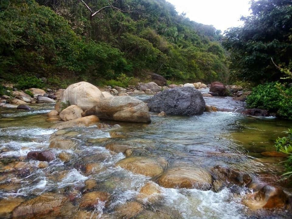 Casa Rio Cuale And River Retreat Puerto Vallarta Esterno foto
