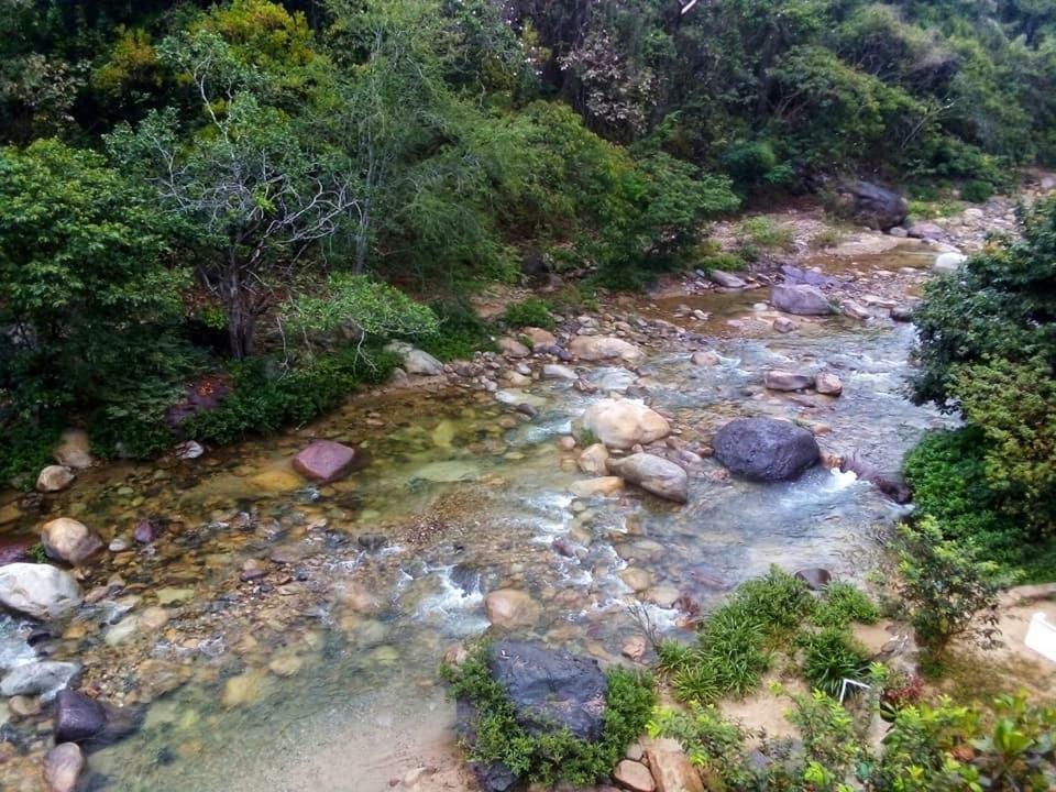 Casa Rio Cuale And River Retreat Puerto Vallarta Esterno foto
